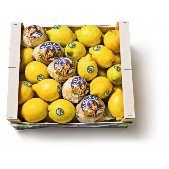 DOOS CITROENEN CIRCA 5KG